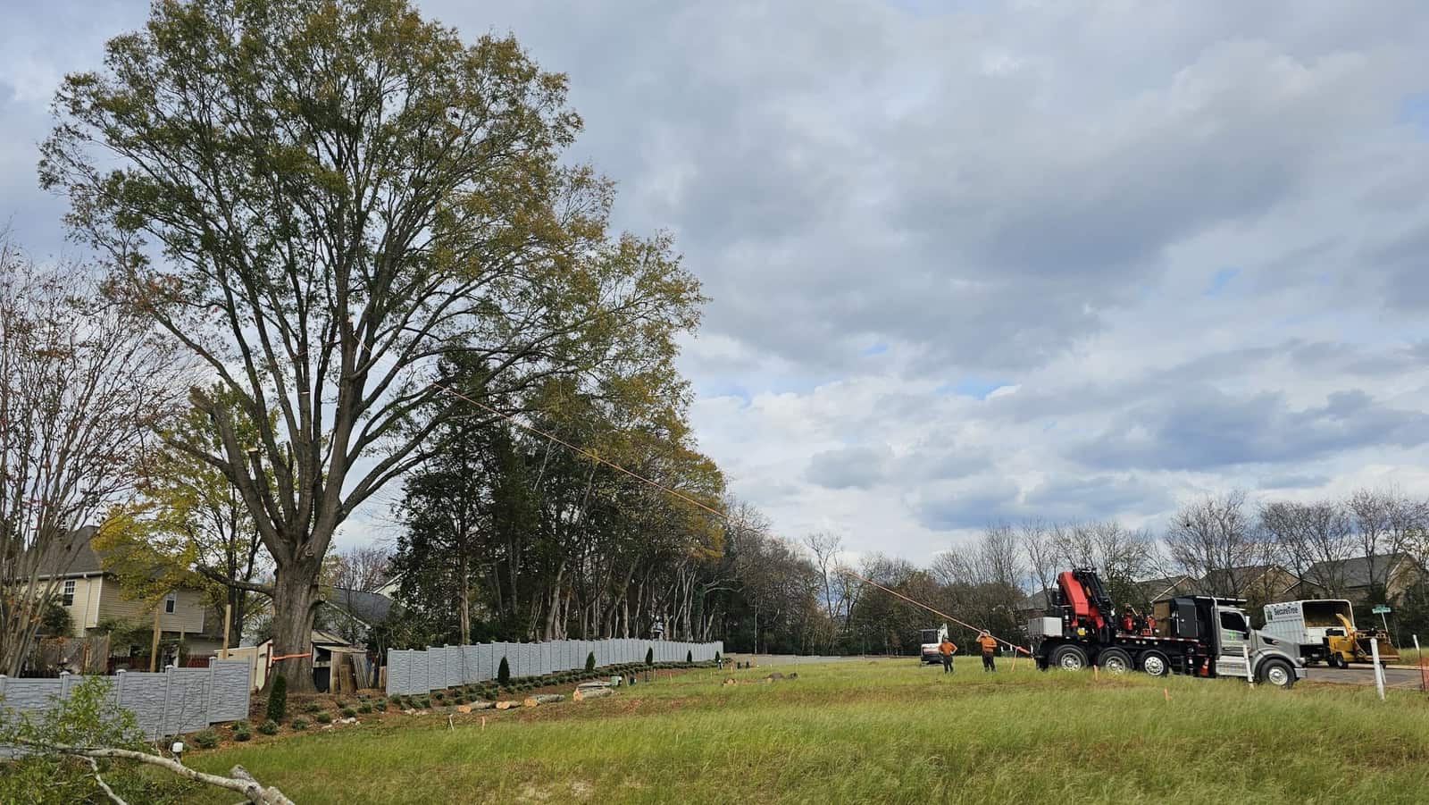 SecureTree Services team serving the Greater Charlotte area