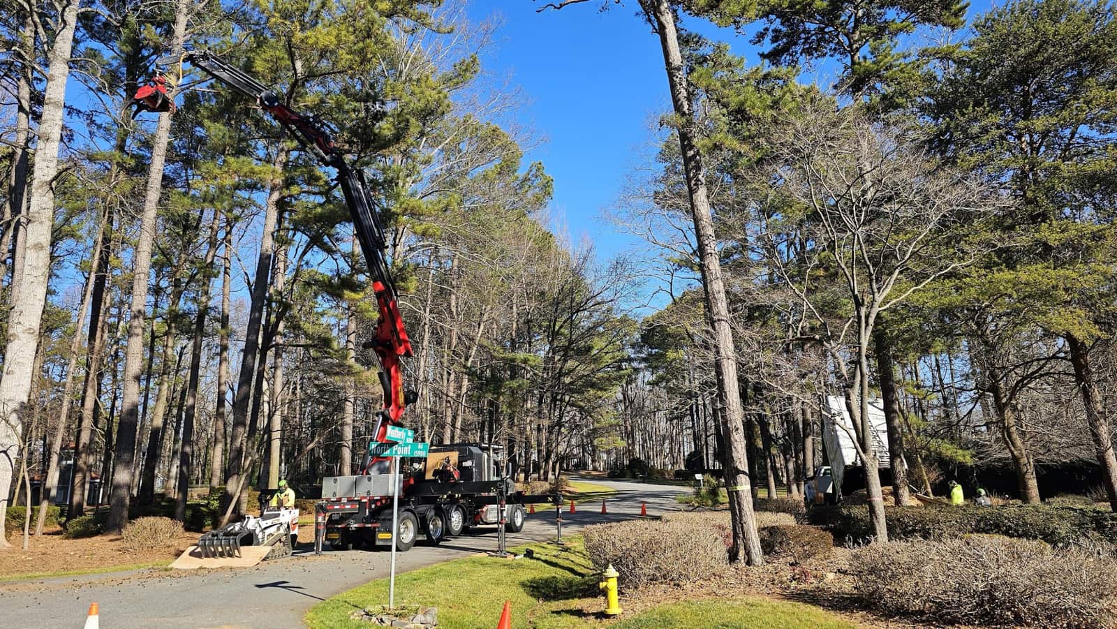SecureTree Services completed tree service projects in Charlotte area